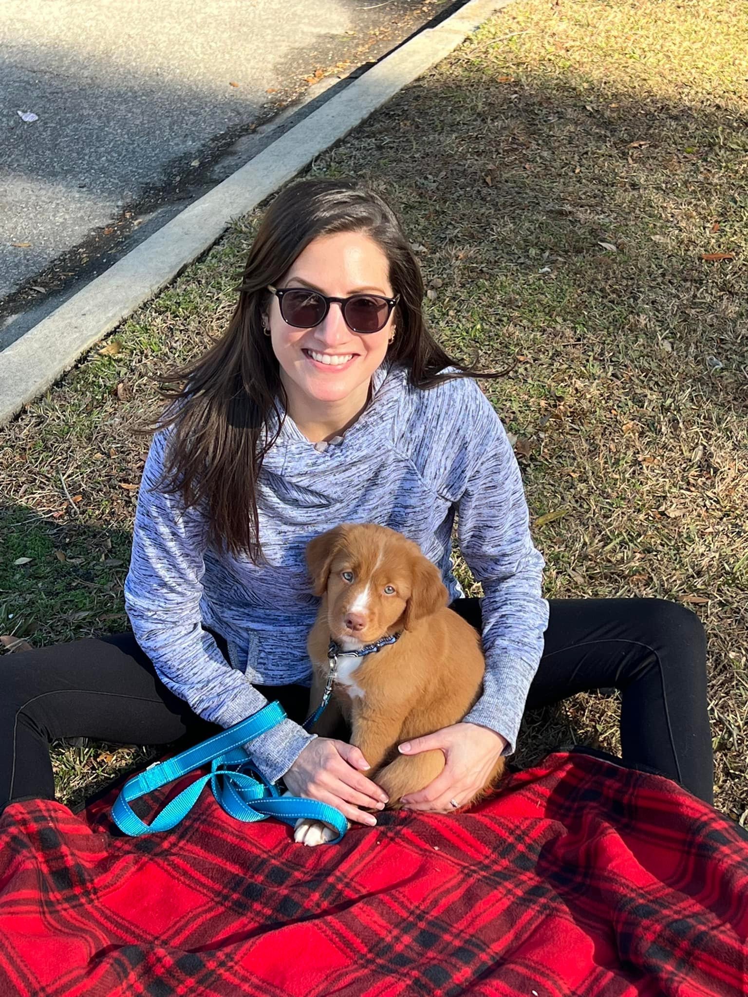 Male Nova Scotia Duck Tolling Retriever